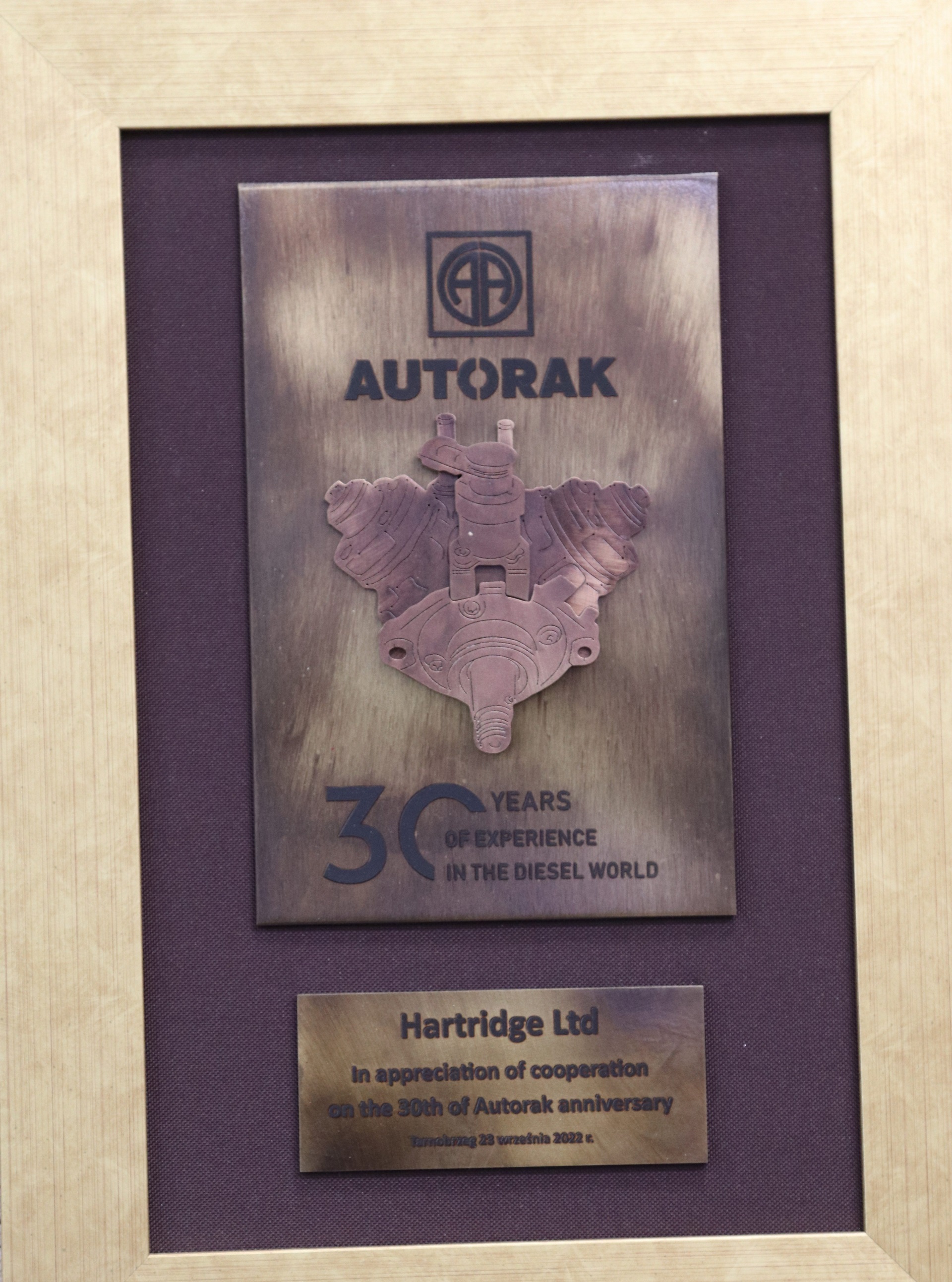 autorak award badge
